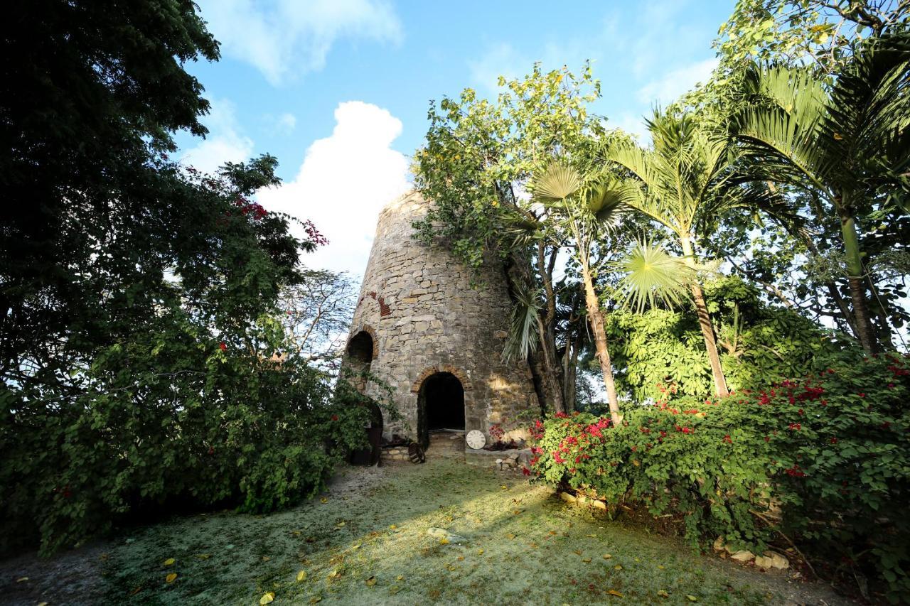 מלון Saint Peter The Great House מראה חיצוני תמונה